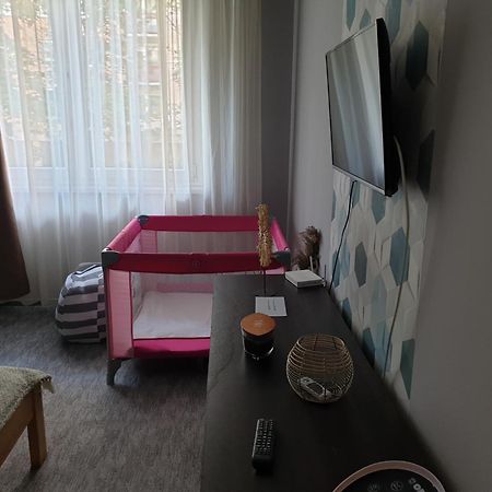 Dora Apartman Best Location & Free Parking デブレツェン エクステリア 写真