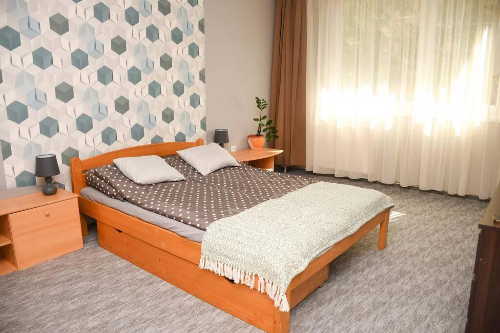 Dora Apartman Best Location & Free Parking デブレツェン エクステリア 写真