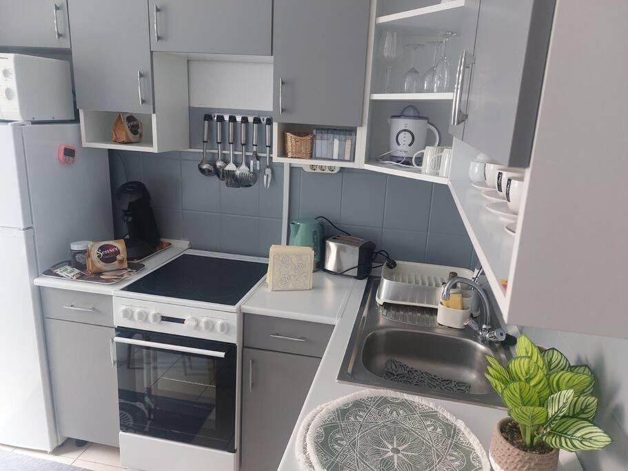 Dora Apartman Best Location & Free Parking デブレツェン エクステリア 写真