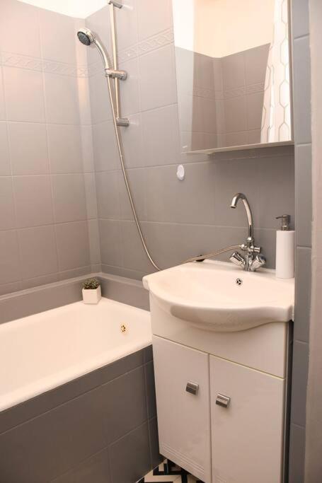Dora Apartman Best Location & Free Parking デブレツェン エクステリア 写真
