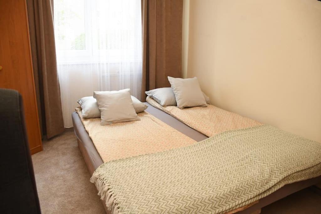 Dora Apartman Best Location & Free Parking デブレツェン エクステリア 写真